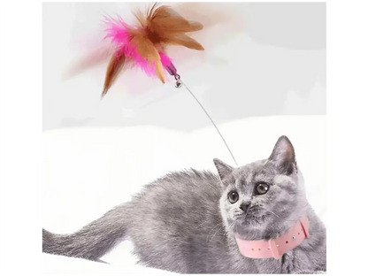 Collar Felino® / COLLAR DE JUEGO PARA GATOS